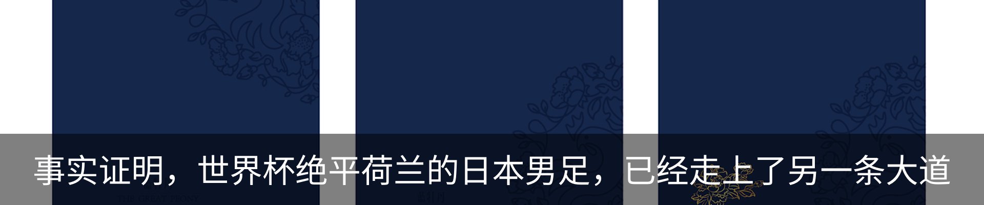 新闻动态