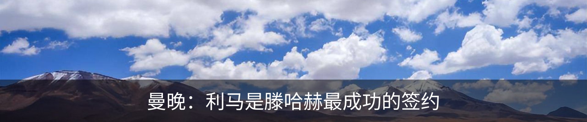新闻动态