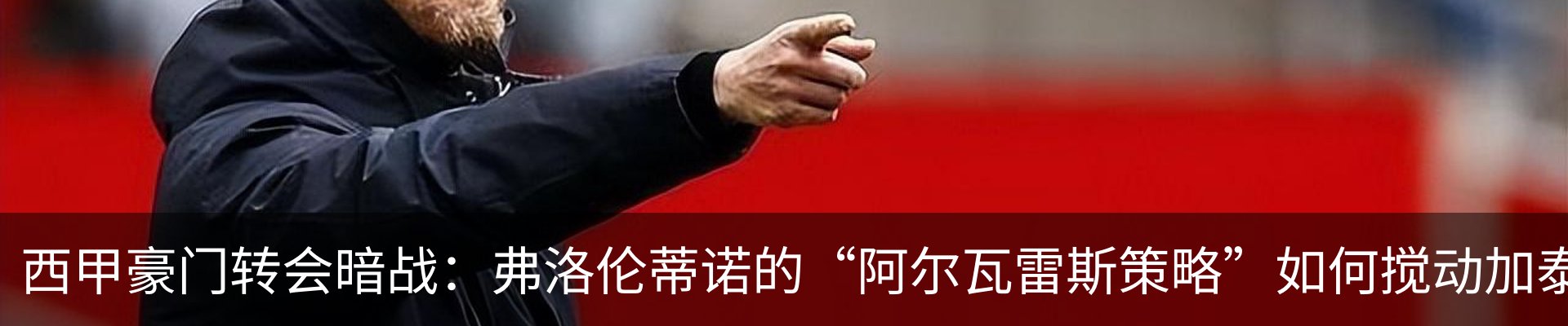 新闻动态