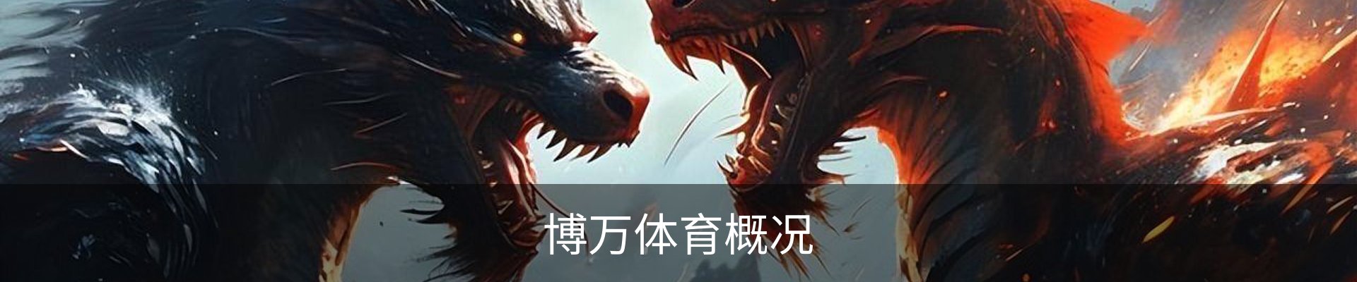 博万体育概况
