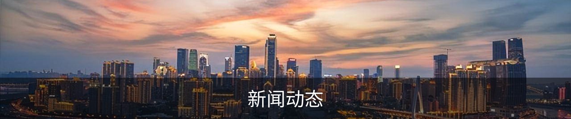 新闻动态